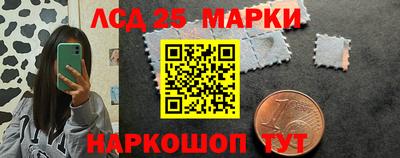 дмт Камышлов