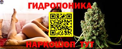 эйфоретик Кандалакша