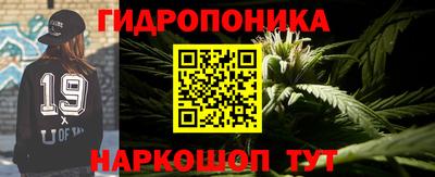 дмт Камышлов