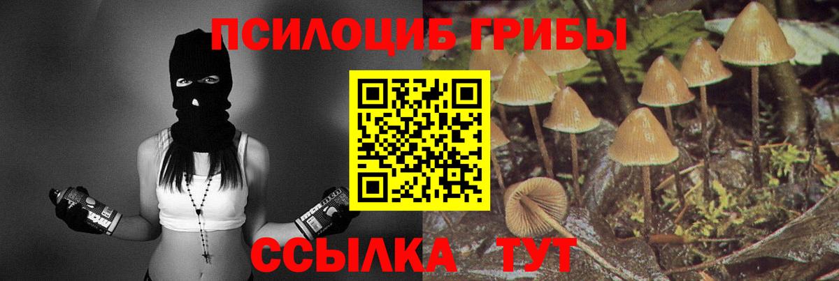 Гурьевск  закладки  Галлюциногенные грибы Cubensis  Вход с VPN  Галлюциногенные грибы прущие грибы 